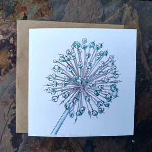 ALLIUM SEEDHEAD - Tarjeta de felicitación - Impresión de una pintura original - Made in Scotland por el artista