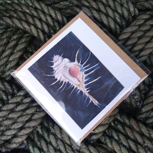 VENUS COMB SHELL - Tarjeta de felicitación - Impreso a partir de un dibujo original - Hecho en Escocia por el artista
