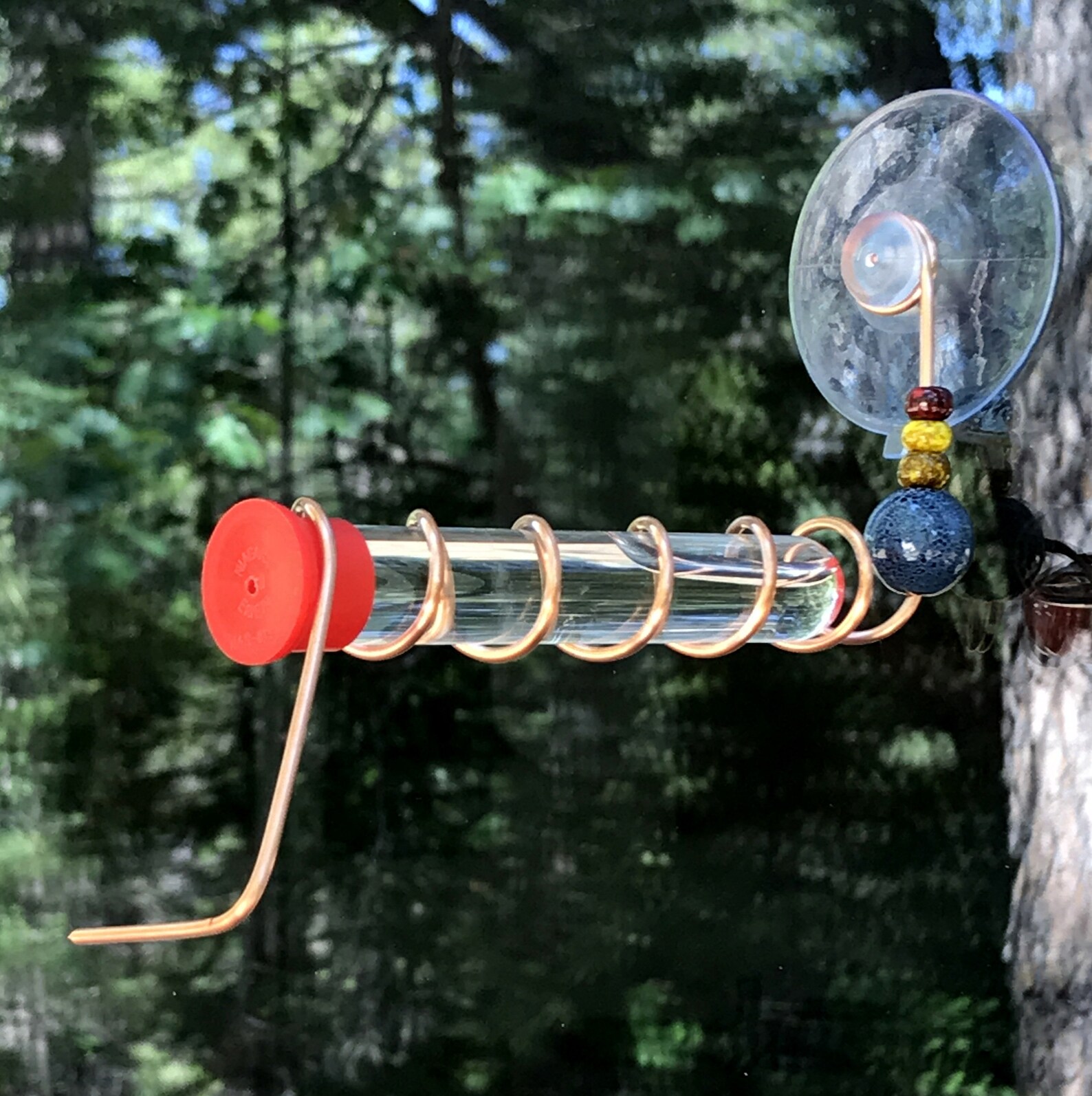Test Tube Hummingbird Feeder for Window Suction Cup Mount and Etsy