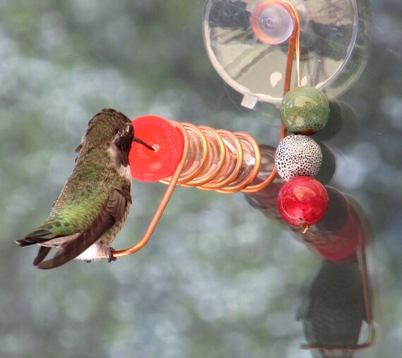 Window Hummingbird Feeder Copper Test Tube Hummingbird Feeder Etsy
