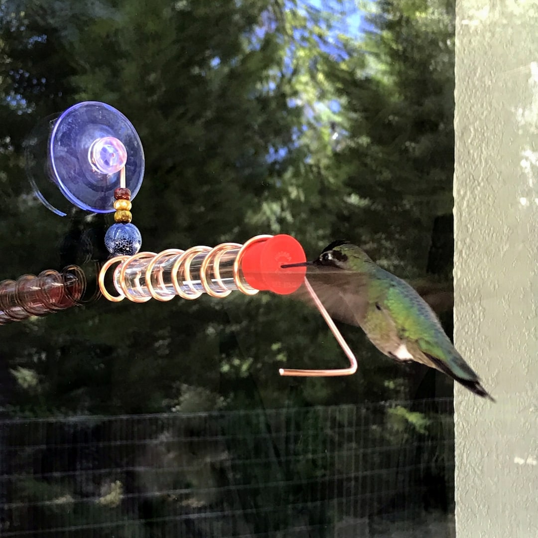 Mangeoire À Oiseaux De Fenêtre Avec Ventouse Électrique - Temu Canada