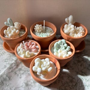 Op de afbeelding: Zes terracotta potten met waskaarsen in de vorm van diverse vetplanten. Elke kaars heeft een witte lont in het midden van witte, lichtgroene en zachtroze wasvormen. De potten zijn in een groep gerangschikt en staan op bijpassende schotels.