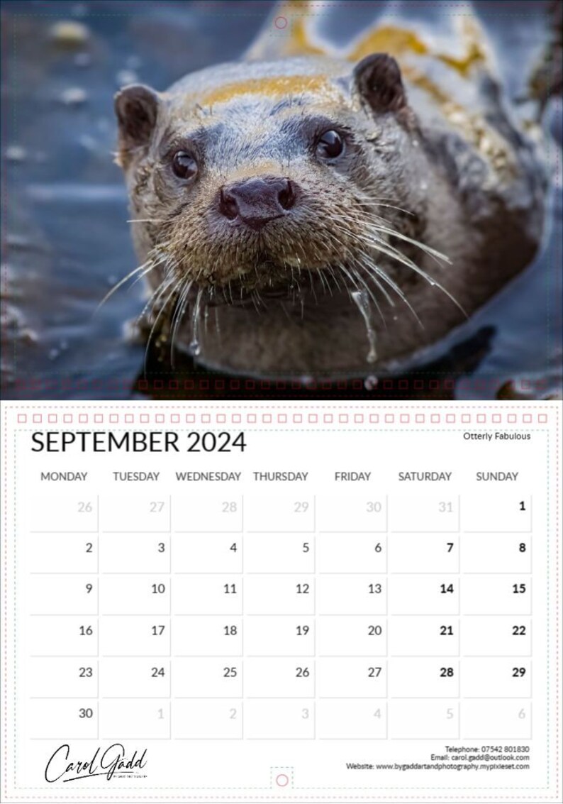 2024 Wildlife Calendar A4 Opening to A3 Gloss High Quality Etsy UK