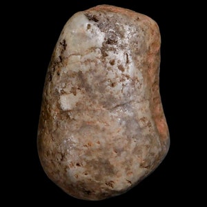 1.7&quot; Sauropod Dinosaur Stomach Stone Gastrolith Rock Gizzard Stone Cloverly Formation Montana Certificate of Authenticity Free Shipping