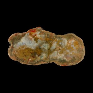 May include: A polished, irregular, flat slice of petrified wood featuring a marbled pattern of earthy tones including ochre, muted green, cream, and white, with a distinct outer bark-like edge and a smooth, semi-translucent mineralized surface.