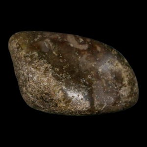 2.4&quot; Sauropod Dinosaur Stomach Stone Gastrolith Rock Gizzard Stone Cloverly Formation Montana Certificate of Authenticity Free Shipping