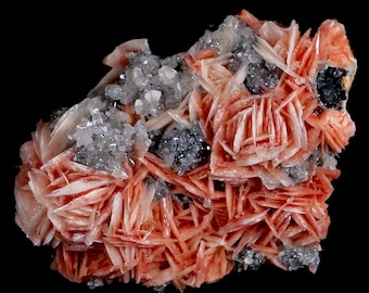 2.3" Sparkly Pink Barite Blades, Cerussite Crystals & Galena Crystal Mineral Specimen Mabladen Morocco Free Shipping