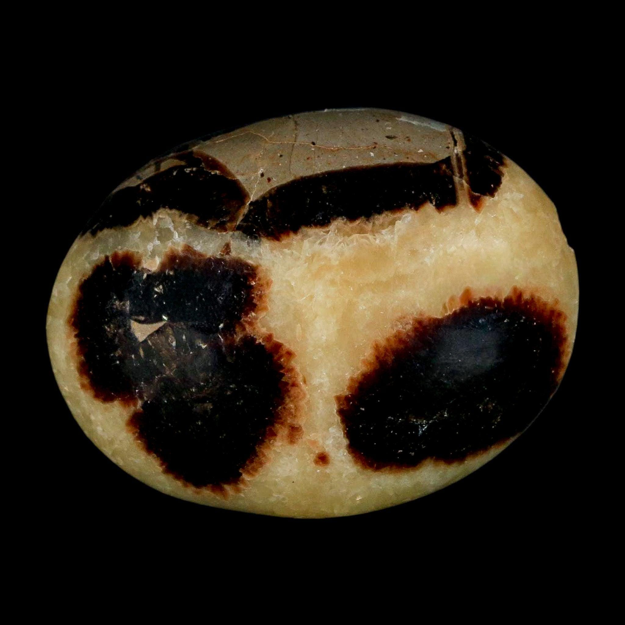 FossilAgeMinerals - Etsy 日本