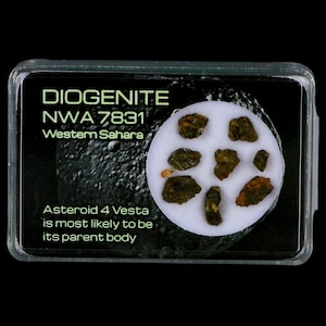 Diogenite Meteorites Asteroid 4 Vesta Specimen NMW 7831 Western Sahara Free Display Free Shipping