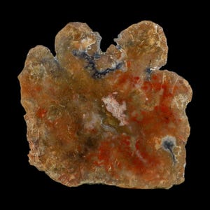 May include: A polished, irregular slab of agate stone featuring a translucent, mottled surface with swirling patterns of amber, burnt orange, cream, and dark gray. The stone has a jagged, organic perimeter with two prominent rounded protrusions at the top.