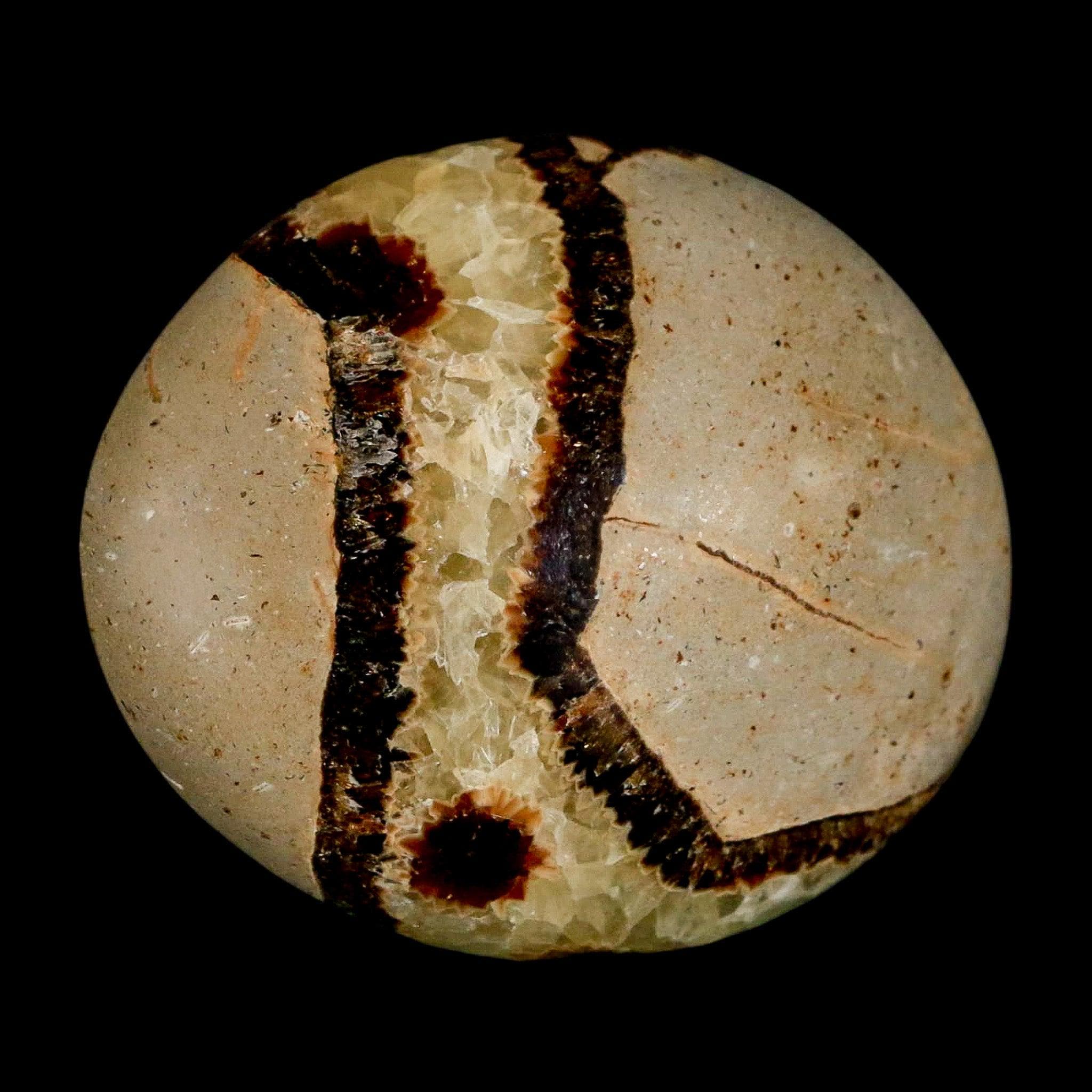 FossilAgeMinerals - Etsy 日本