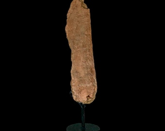 7.4" Hadrosaur Dinosaur Fossil Rib Bone Hell Creek Formation Montana Certificate Of Authenticity Free Stand and Shipping