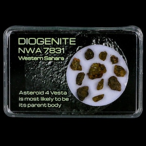 Diogenite Meteorites Asteroid 4 Vesta Specimen NMW 7831 Western Sahara Free Display Free Shipping