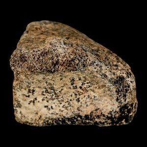 May include: A close-up of a weathered, porous, bone fragment. The bone is a mix of tan, brown, and black, with a rough, textured surface. The fragment has a rounded shape and appears to be an ancient artifact.
