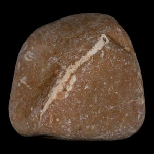 2.1&quot; Sauropod Dinosaur Stomach Stone Gastrolith Rock Gizzard Stone Cloverly Formation Montana Certificate of Authenticity Free Shipping