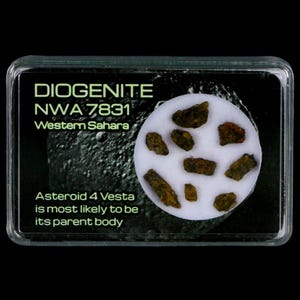 Diogenite Meteorites Asteroid 4 Vesta Specimen NMW 7831 Western Sahara Free Display Free Shipping
