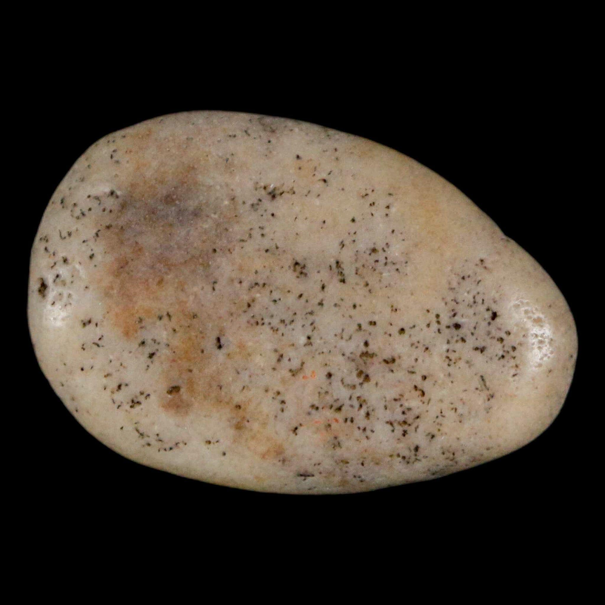 Gizzard stones - Etsy 日本