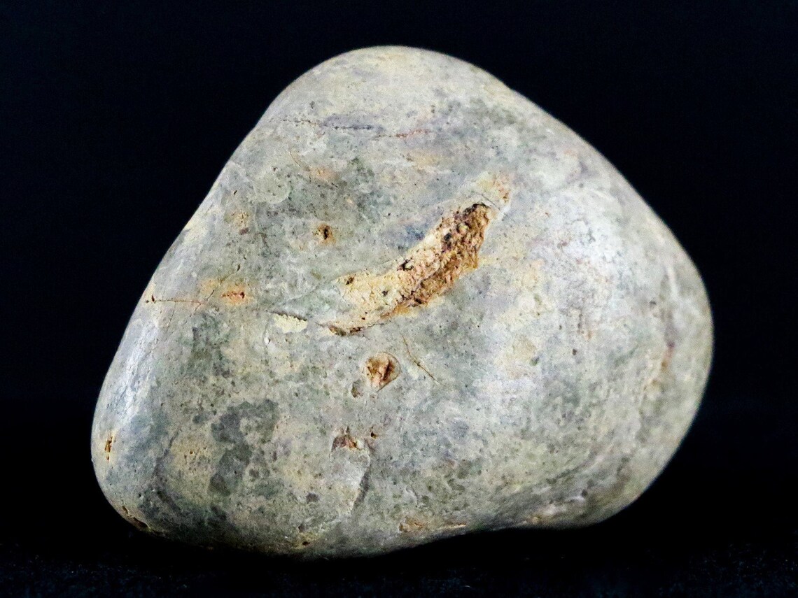 1.3 Sauropod Dinosaur Stomach Stone Gastrolith Rock Like | Etsy