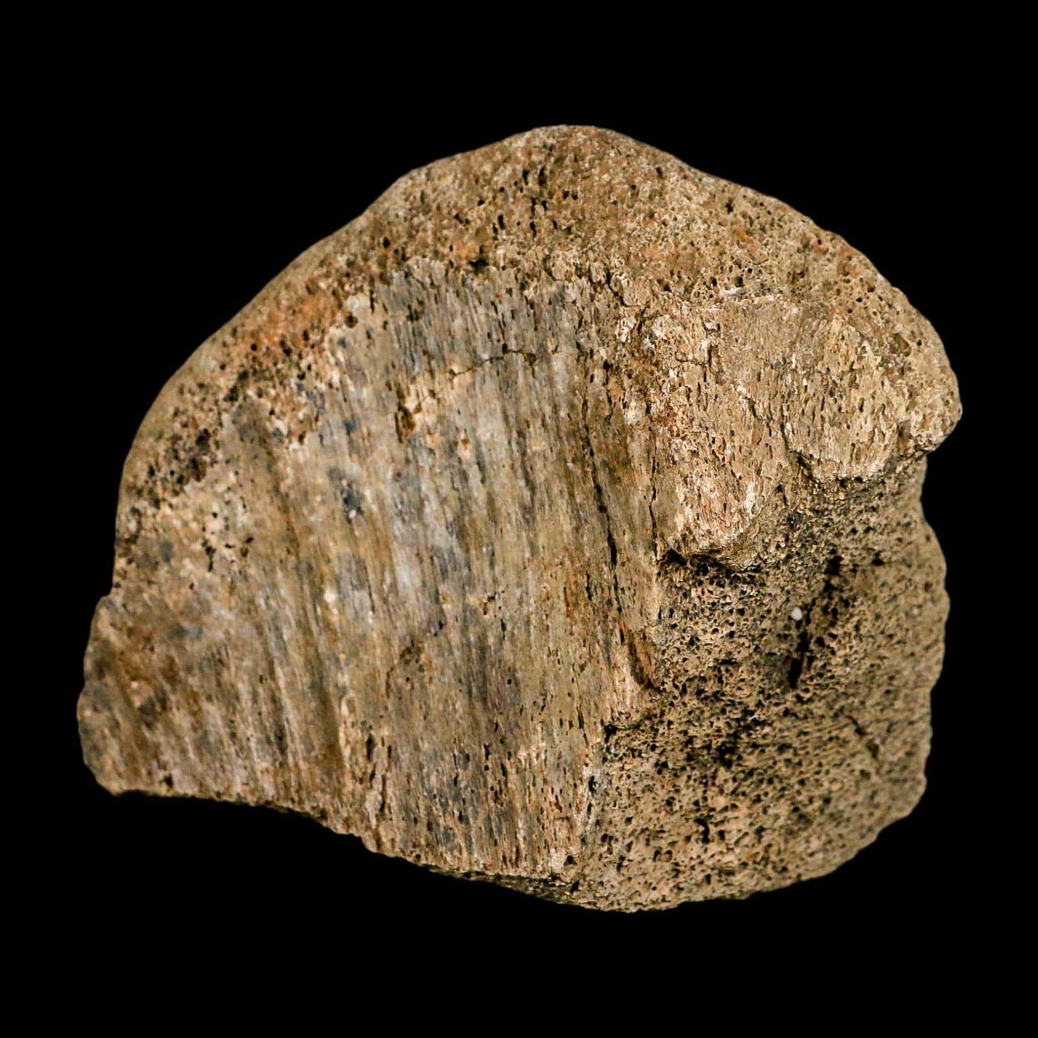 4.1