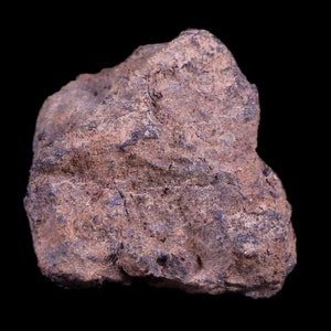Présentoir Vaca Muerta Meteorite Riker Taltal Antofagasta, Chili, Amérique du Sud trouvé en 1861 Présentoir de 6,4 g et livraison gratuite