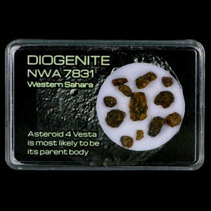 Diogenite Meteorites Asteroid 4 Vesta Specimen NMW 7831 Western Sahara Free Display Free Shipping