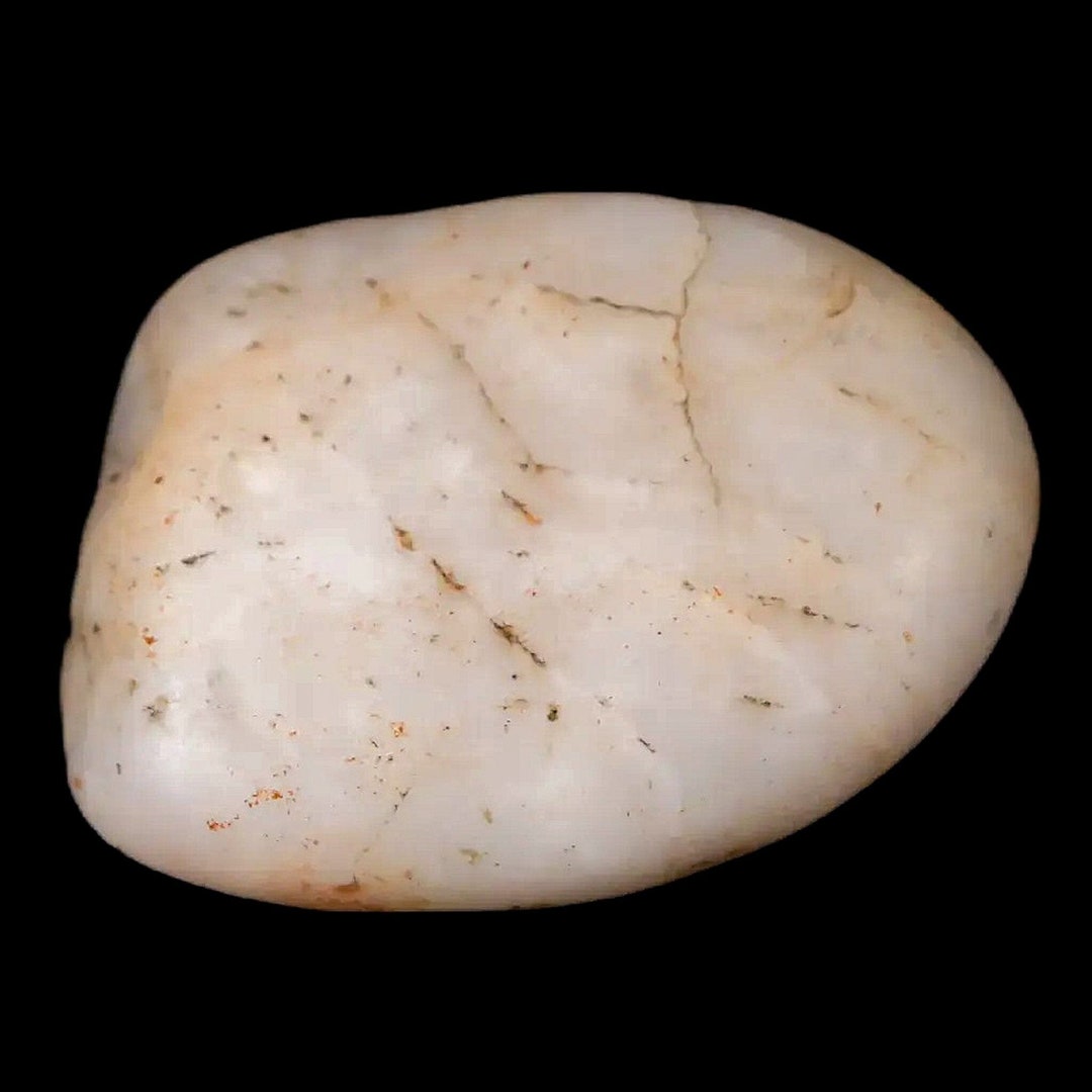 1.4 Sauropod Dinosaur Stomach Stone Gastrolith Rock Gizzard Stone ...