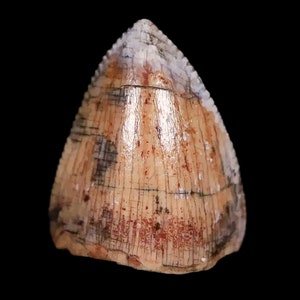 il_300x300.5728685920_2fvg.jpg