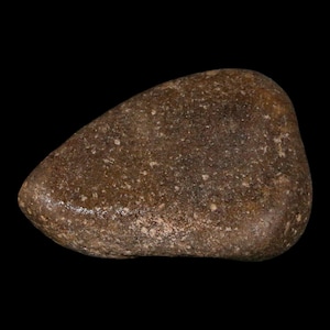 1.8&quot; Sauropod Dinosaur Stomach Stone Gastrolith Rock Gizzard Stone Cloverly Formation Montana Certificate of Authenticity Free Shipping
