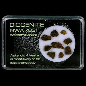 Diogenite Meteorites Asteroid 4 Vesta Specimen NMW 7831 Western Sahara Free Display Free Shipping
