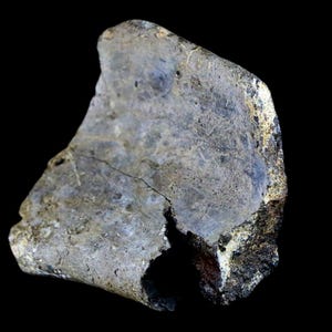 2.5" Edmontosaurus Fossil Rib Bone Specimen Lance Creek Formation Cretaceous Dinosaur Wyoming Certificate of Authenticity Free Shipping image 4
