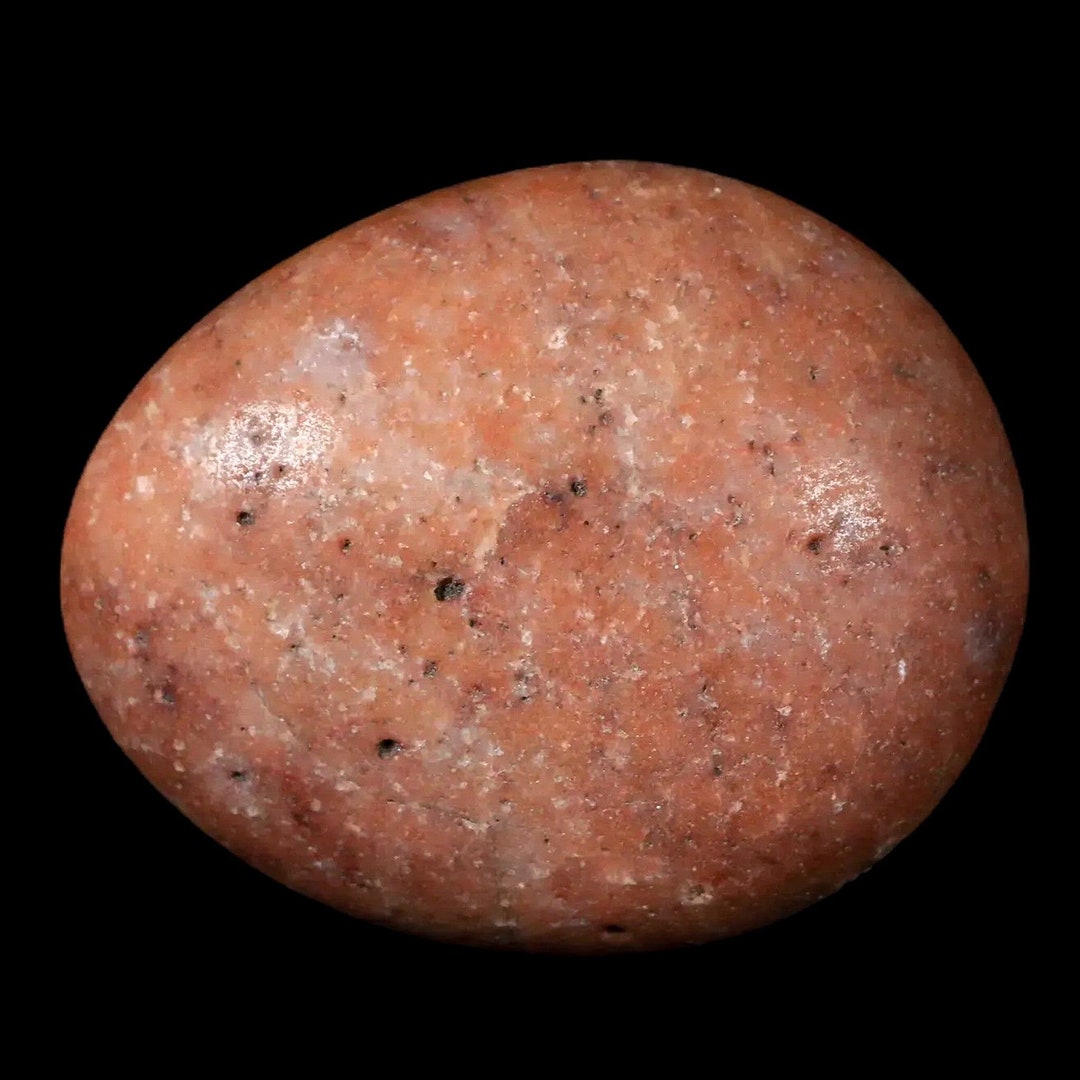 2.5 Sauropod Dinosaur Stomach Stone Gastrolith Rock Gizzard Stone ...