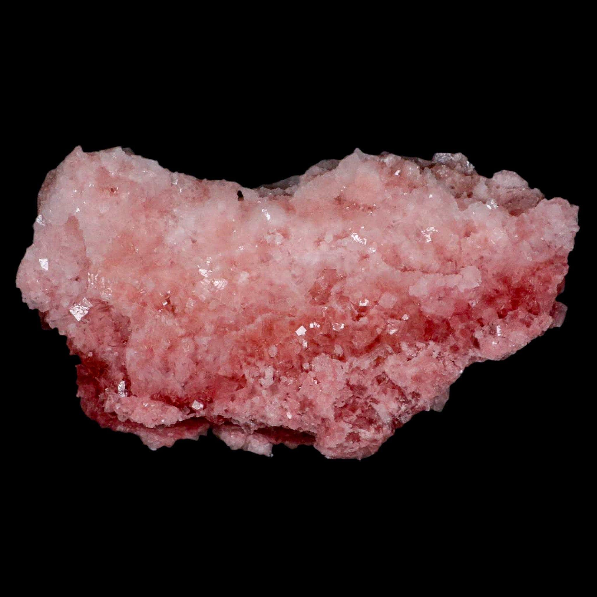 5.9インチ 高品質 濃いピンク色 岩塩 結晶 クラスター ミネラル トロナ