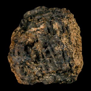 1,2 &quot;Tyrannosaurus Rex Dinosaurier Fossil Knochenmark Lance Creek FM Wyoming Echtheitszertifikat Kostenloser Versand