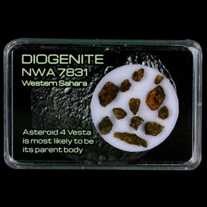 Diogenite Meteorites Asteroid 4 Vesta Specimen NMW 7831 Western Sahara Free Display Free Shipping