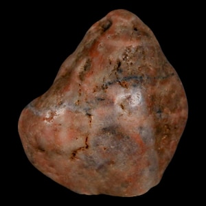 1.7&quot; Sauropod Dinosaur Stomach Stone Gastrolith Rock Gizzard Stone Cloverly Formation Montana Certificate of Authenticity Free Shipping