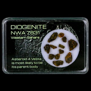 Diogenite Meteorites Asteroid 4 Vesta Specimen NMW 7831 Western Sahara Free Display Free Shipping