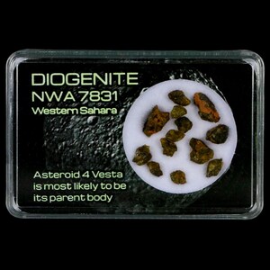 Diogenite Meteorites Asteroid 4 Vesta Specimen NMW 7831 Western Sahara Free Display Free Shipping