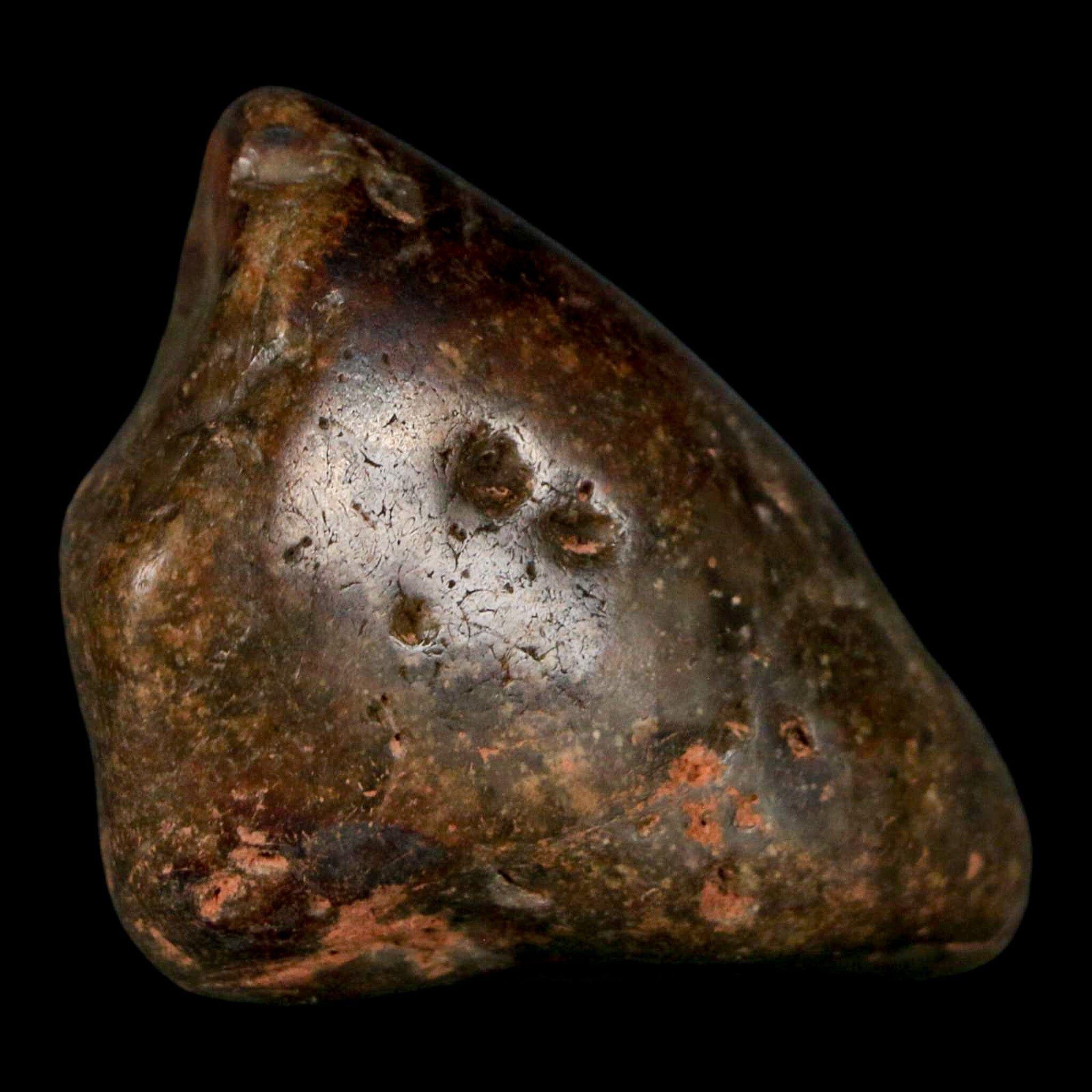 1.9インチ 竜脚類恐竜の胃石 胃石岩 砂嚢石 クローバリー層 モンタナ