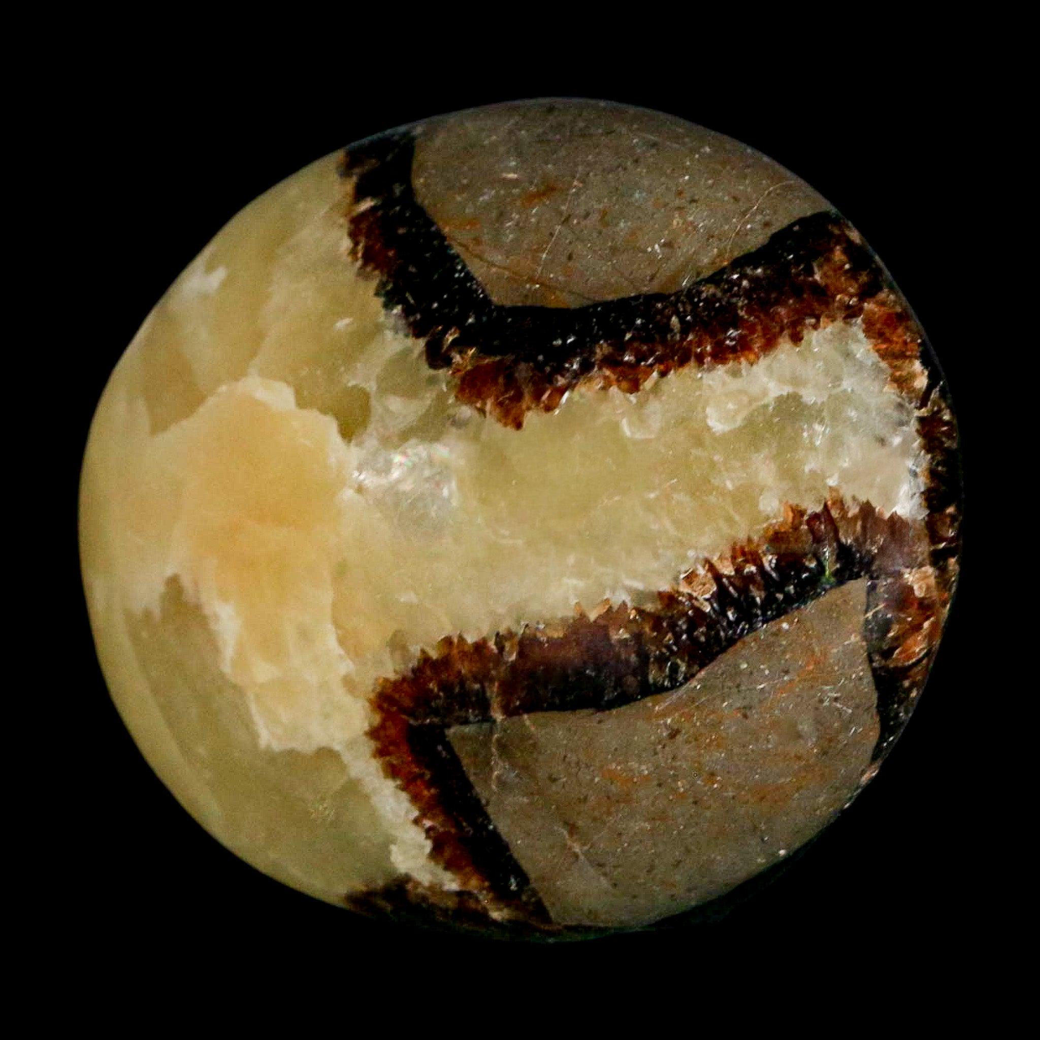 FossilAgeMinerals - Etsy 日本