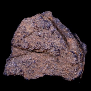 Spécimen de météorite Bendege Bendege Monte Sante Bahia Brésil 3,8 grammes Affichage Riker gratuit et livraison gratuite