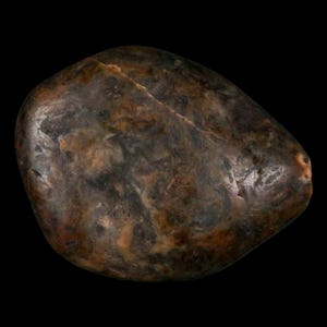 1.9&quot; Sauropod Dinosaur Stomach Stone Gastrolith Rock Gizzard Stone Cloverly Formation Montana Certificate of Authenticity Free Shipping