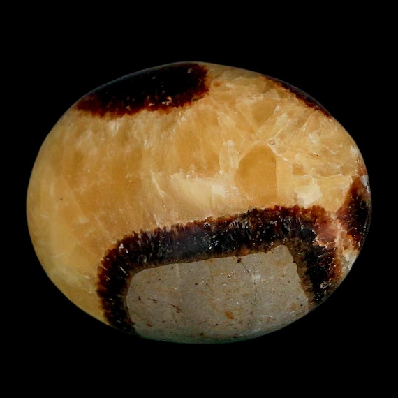 マダガスカル産　セプタリアン マダガスカル産セプタリアン(亀甲石)/Septarian