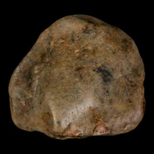 1.6&quot; Sauropod Dinosaur Stomach Stone Gastrolith Rock Gizzard Stone Cloverly Formation Montana Certificate of Authenticity Free Shipping