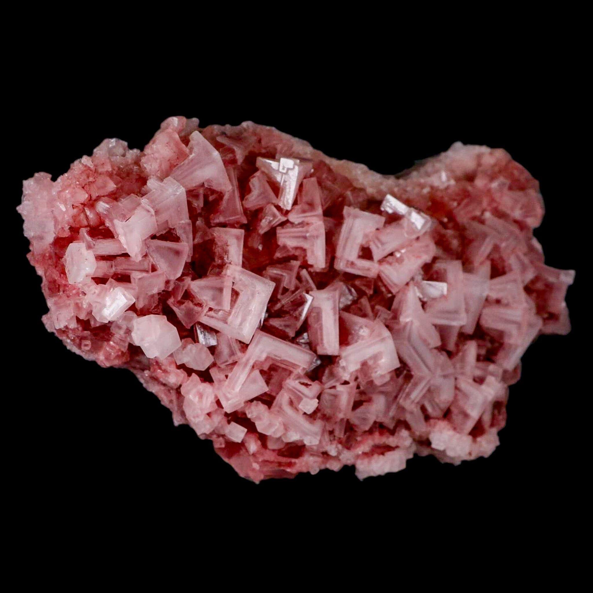 5.9インチ 高品質 濃いピンク色 岩塩 結晶 クラスター ミネラル トロナ