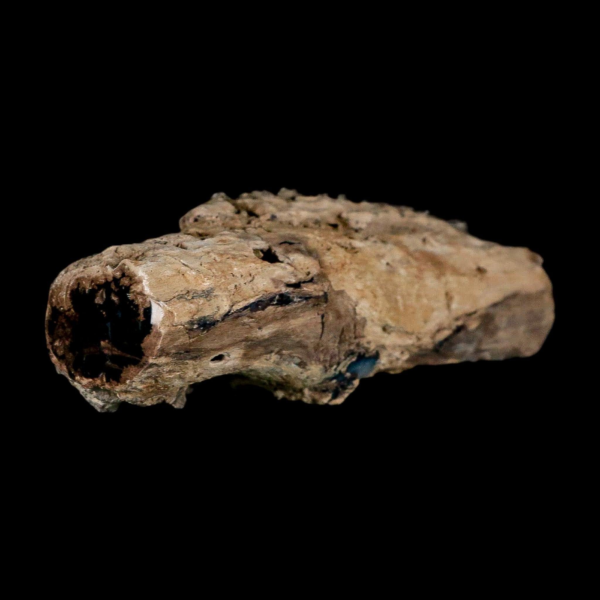 FossilAgeMinerals - Etsy 日本