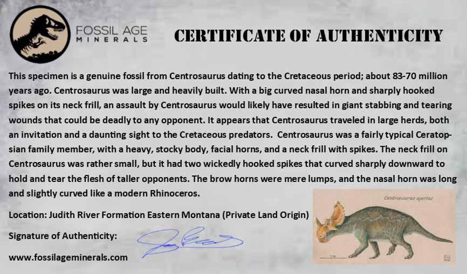 centrosaurus fossil