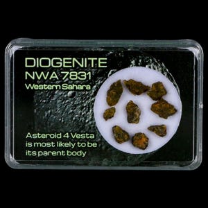 Diogenite Meteorites Asteroid 4 Vesta Specimen NMW 7831 Western Sahara Free Display Free Shipping