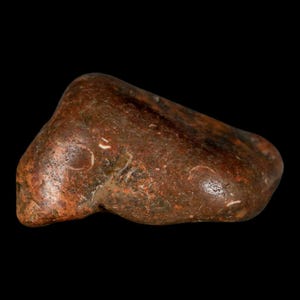 2.5&quot; Sauropod Dinosaur Stomach Stone Gastrolith Rock Gizzard Stone Cloverly Formation Montana Certificate of Authenticity Free Shipping