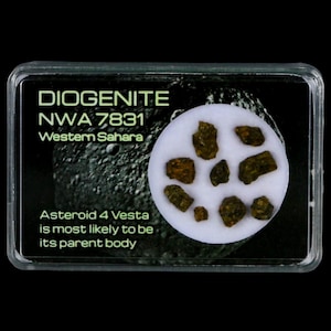 May include: A clear plastic case containing a diogenite meteorite sample. The label reads "DIOGENITE NWA 7831 Western Sahara." The sample is composed of several small, dark green and brown rock fragments on a white circular base. Text states "Asteroid 4 Vesta is most likely to be its parent body."