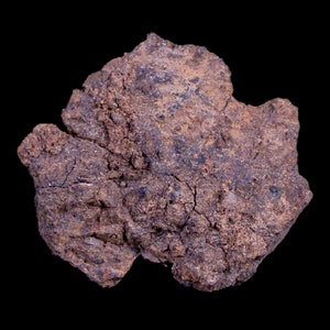 Vaca Muerta Meteorite Riker Display Taltal Antofagasta, Chili, Amérique du Sud Trouvé 1861 2,4 grammes Affichage gratuit et livraison gratuite